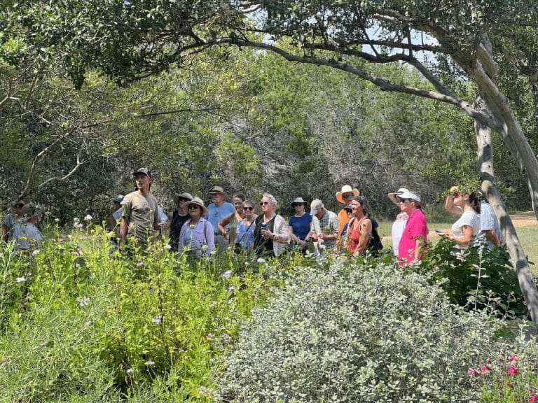 Native Tree Walk at Hamilton Greenbelt