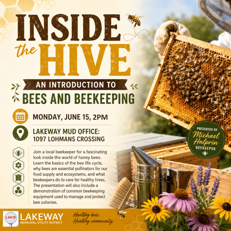 Inside the Hive: An intro to Bees and Beekeeping (Video)