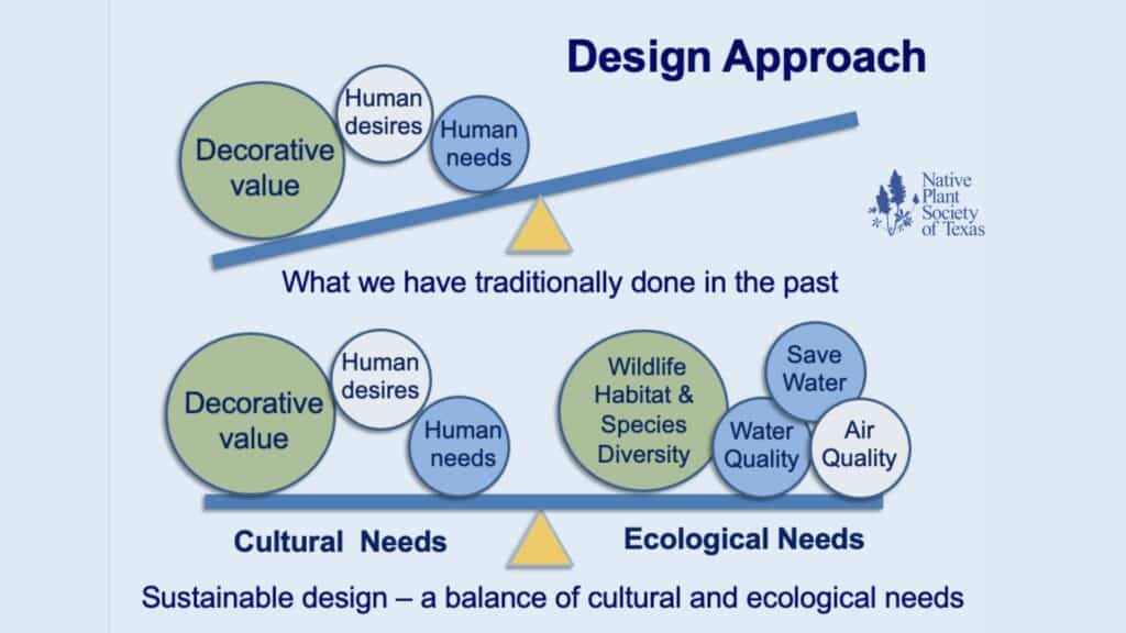 Rewilding Our Relationship with Nature