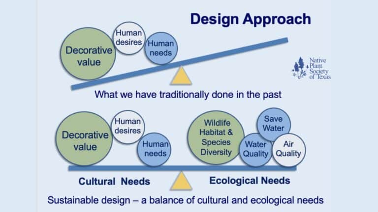 Rewilding Our Relationship with Nature