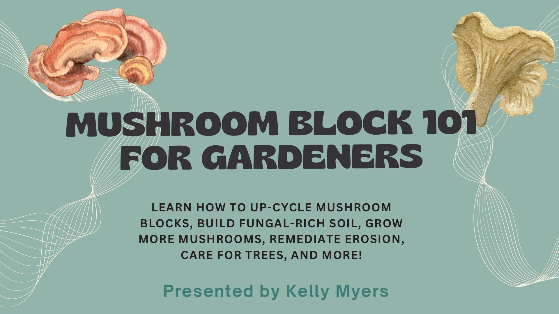 Mushroom Blocks 101 for Home Gardeners (video)