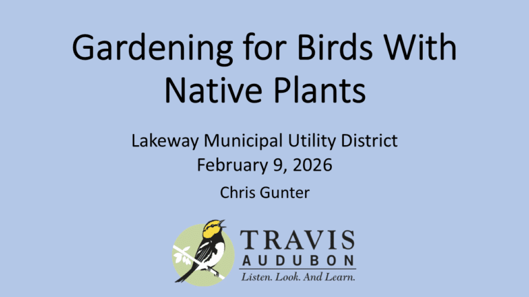 Gardening for Birds with Native Plants (Video)